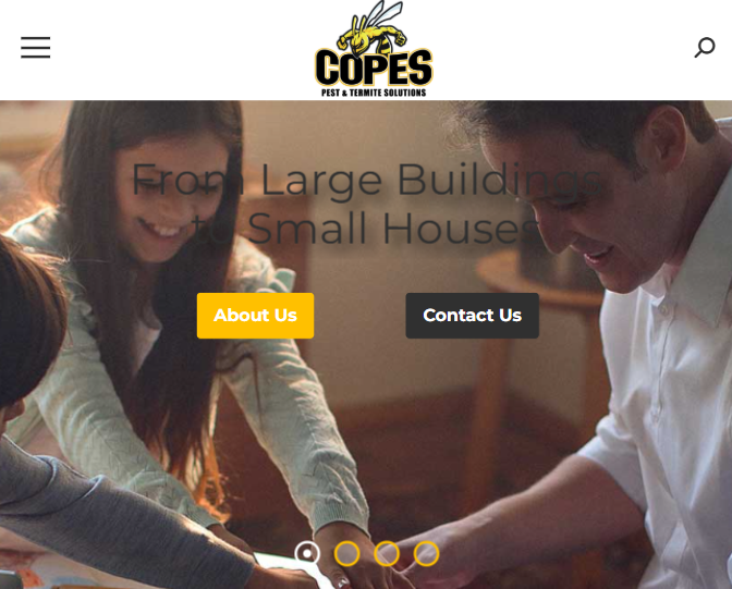 Copes Pest and Termite Solutions