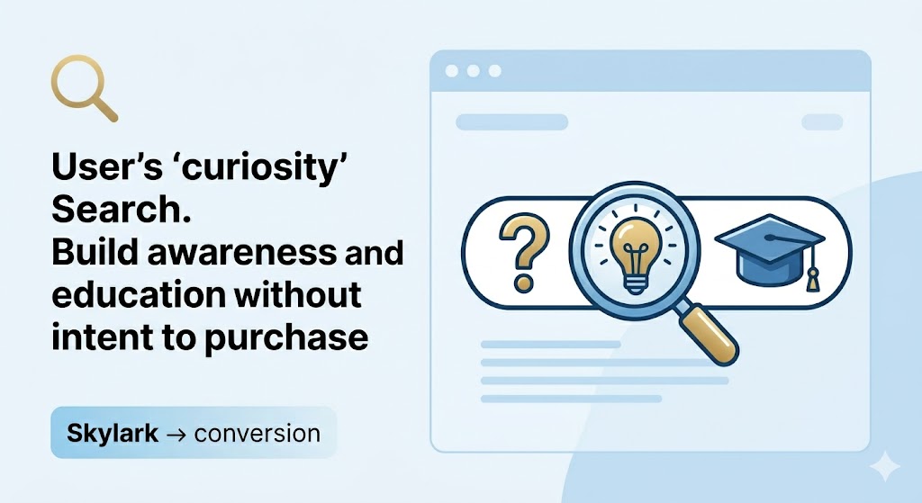 Informational Search Queries